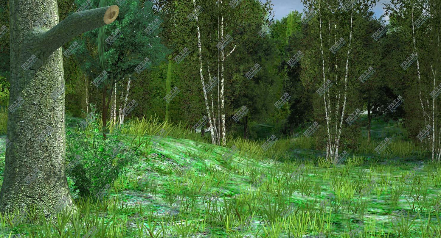 images/goods_img/202105071/Forest Meadow Game Ready Landscape/4.jpg